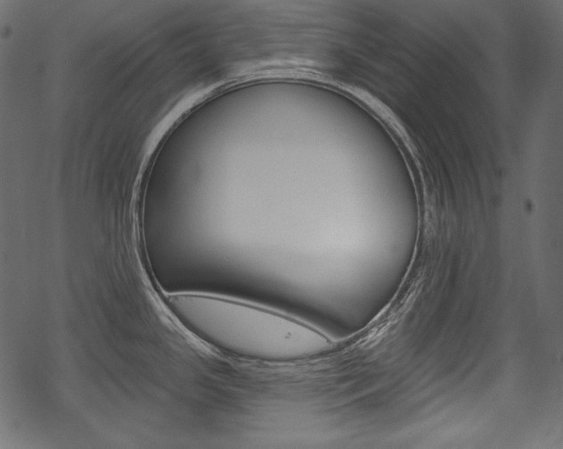 X0000070221341200605261027
