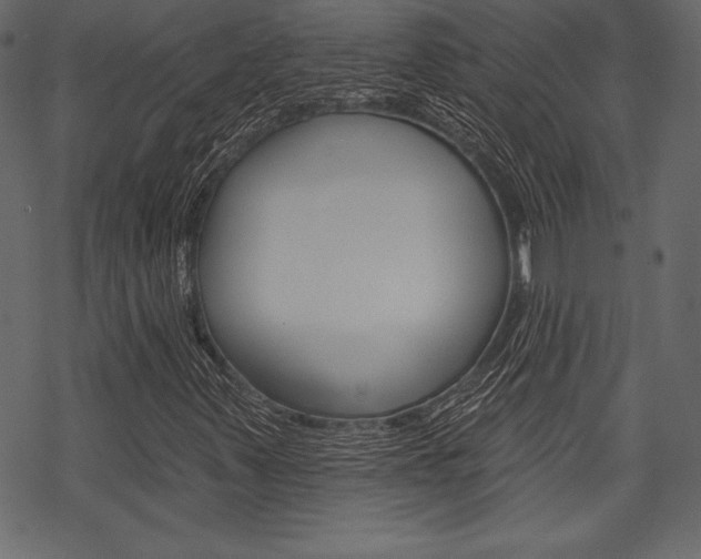 X0000070221347200605261026