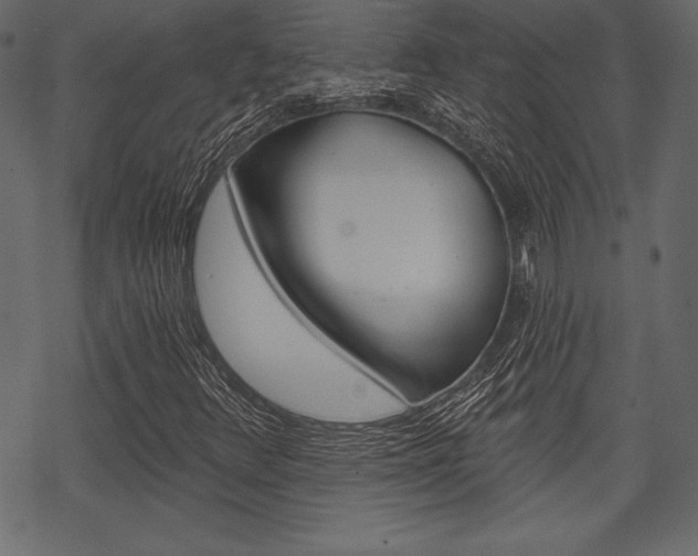 X0000070221348200605261026