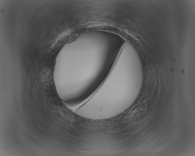 X0000070221351200605261026