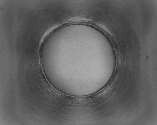 X0000070221358200605261026