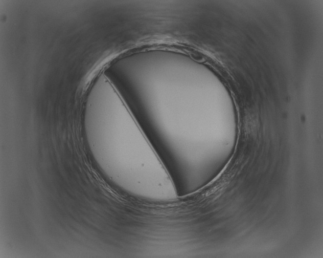 X0000070221359200605261026