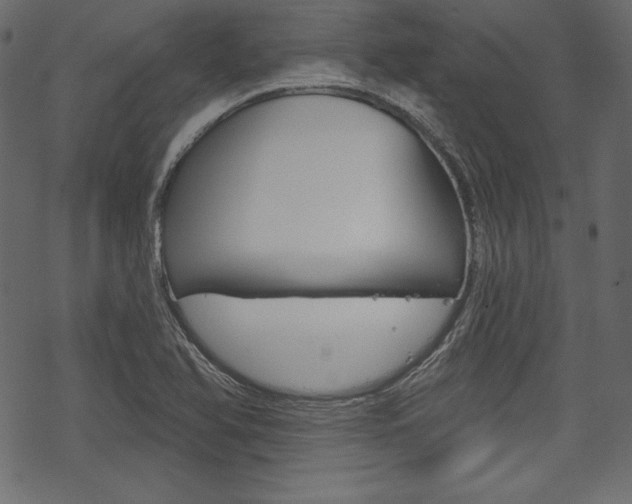 X0000070221366200605261026