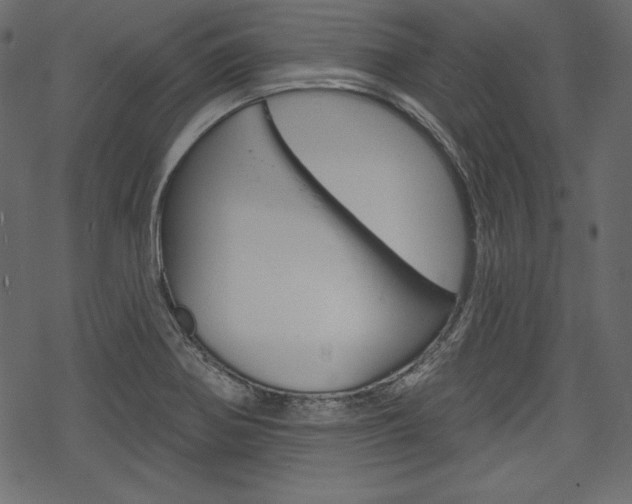 X0000070221370200605261026