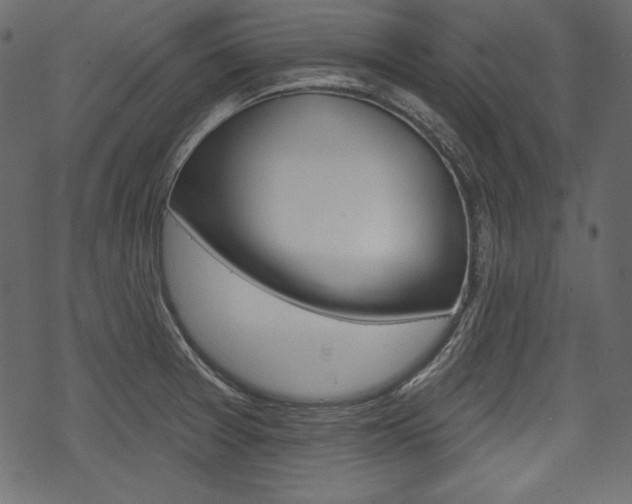 X0000070221377200605261026