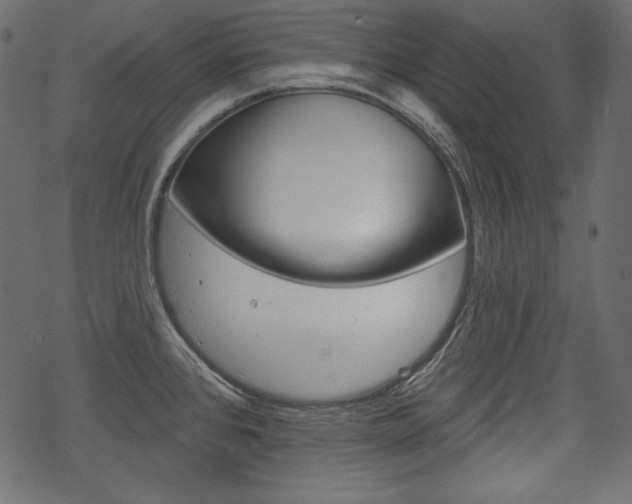 X0000070221384200605261026