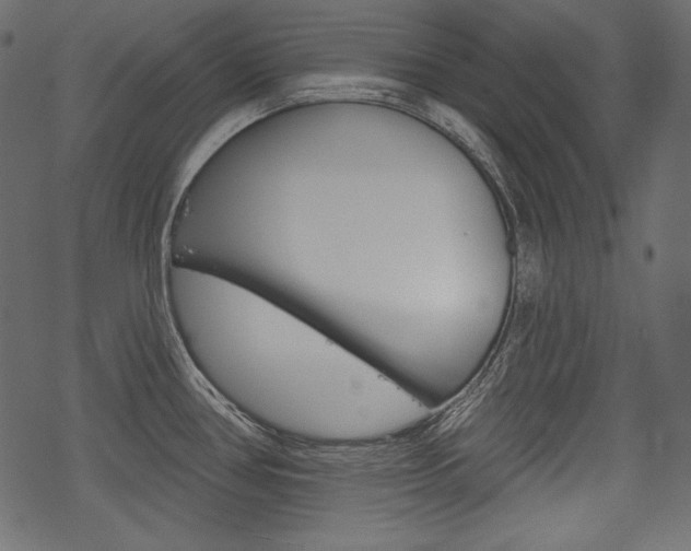 X0000070221386200605261026