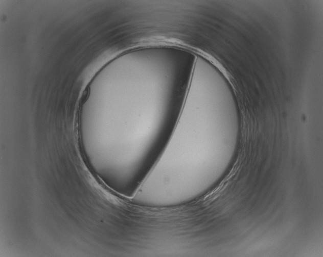 X0000070221387200605261026
