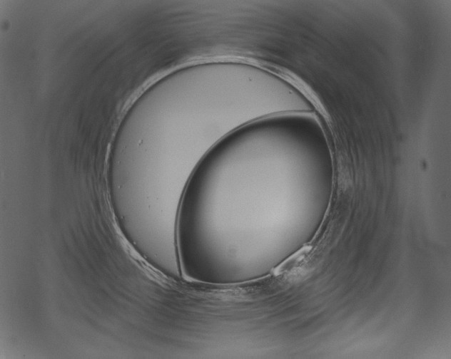 X0000070221388200605261026