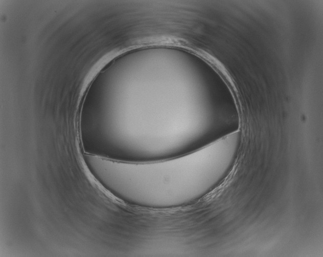 X0000070221389200605261026