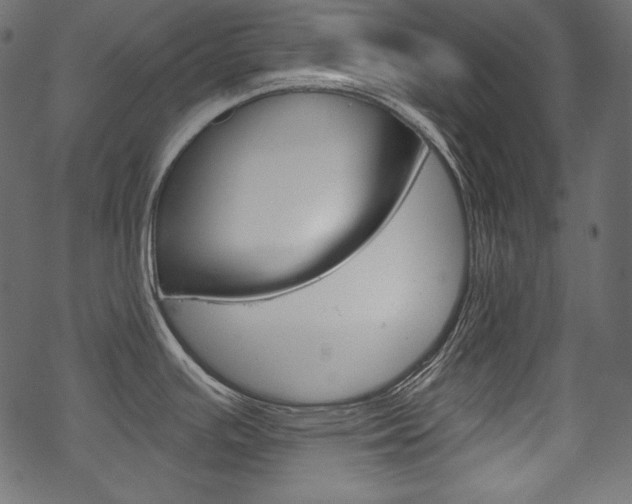 X0000070221391200605261026