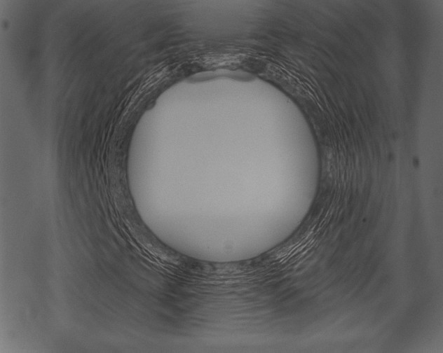 X0000070221393200605261025