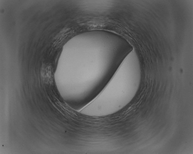 X0000070221396200605261025