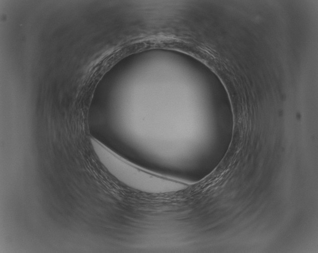 X0000070221398200605261025