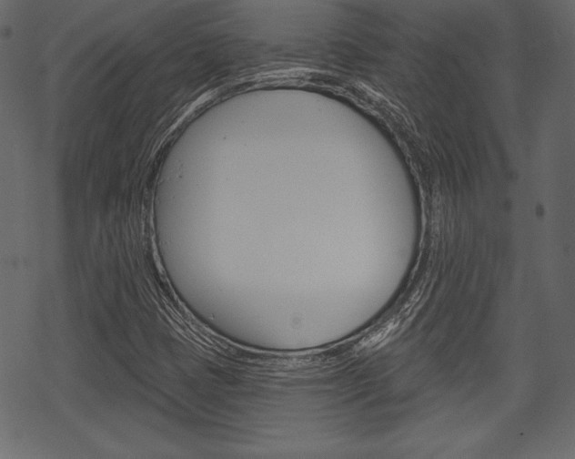 X0000070221401200605261025