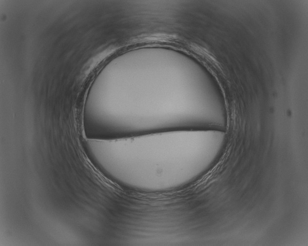X0000070221404200605261025