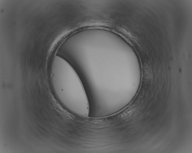 X0000070221408200605261025