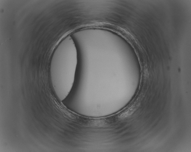 X0000070221409200605261025