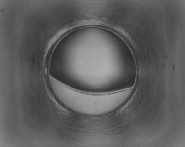 X0000070221414200605261025