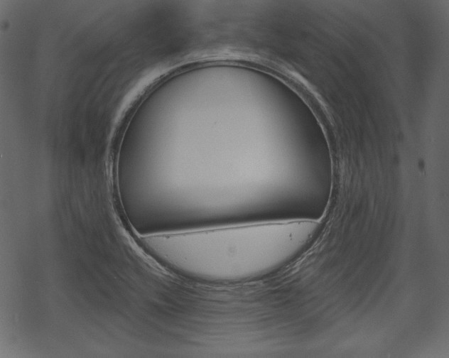 X0000070221416200605261025