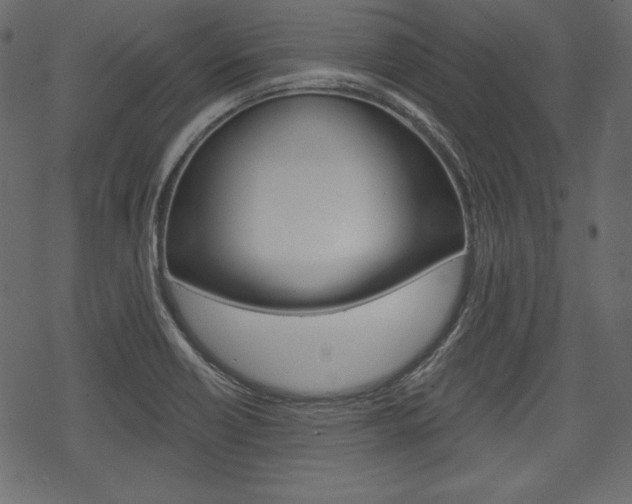 X0000070221418200605261025