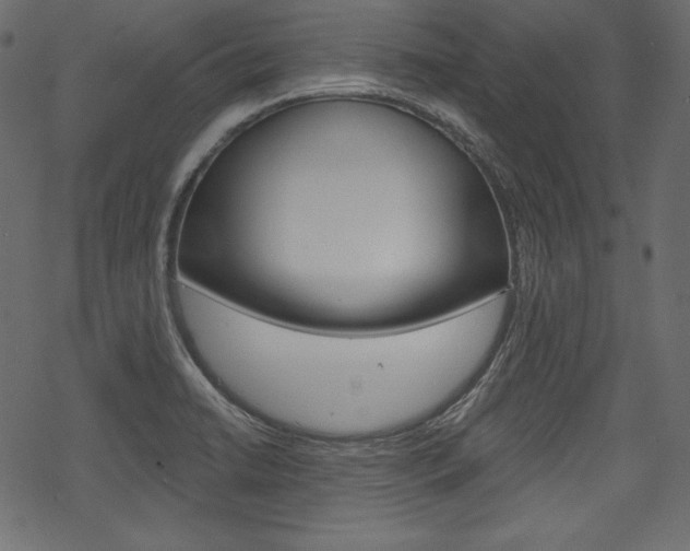 X0000070221422200605261025