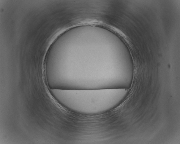 X0000070221423200605261025