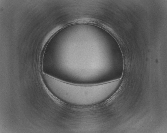 X0000070221426200605261026