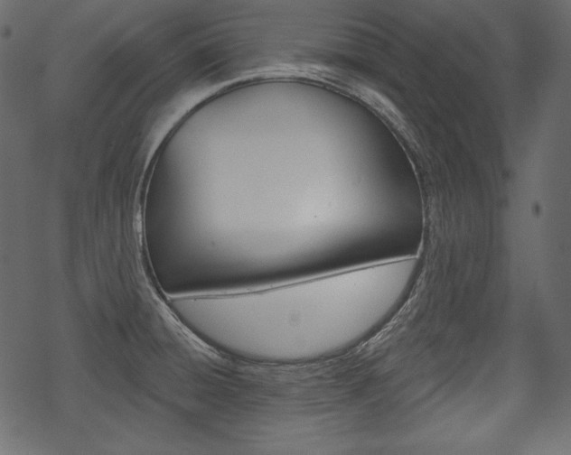 X0000070221428200605261026