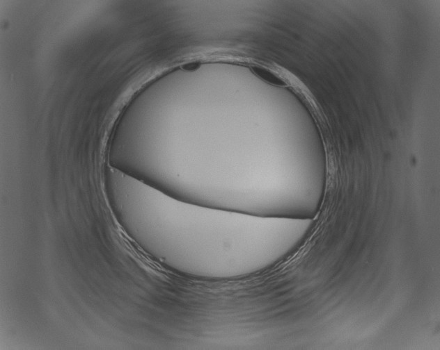 X0000070221435200605261026