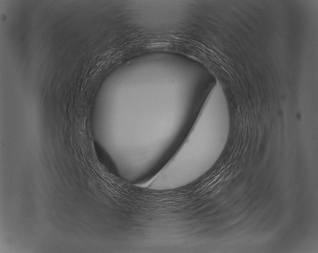 X0000070221441200605261025