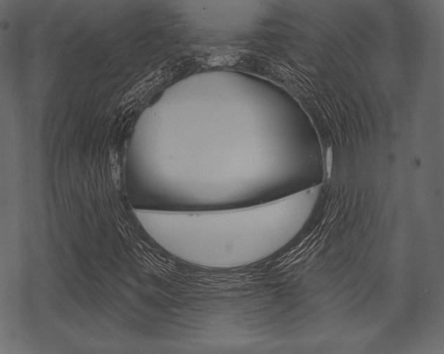 X0000070221443200605261025