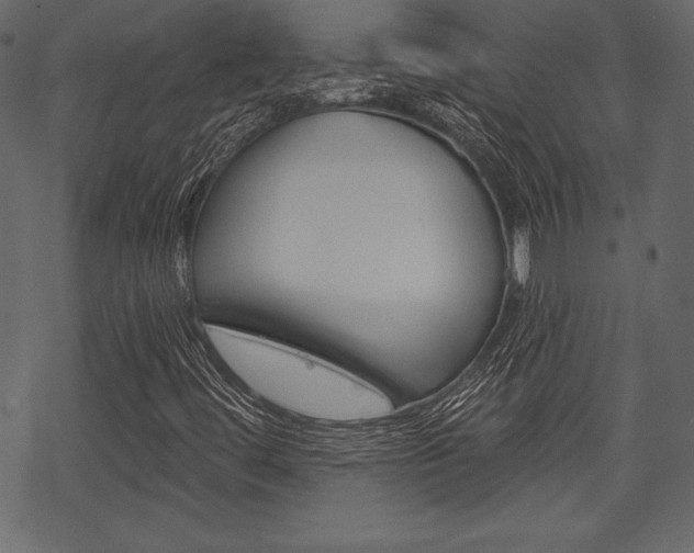 X0000070221444200605261025