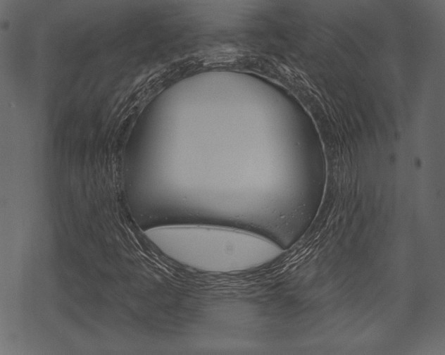 X0000070221445200605261025