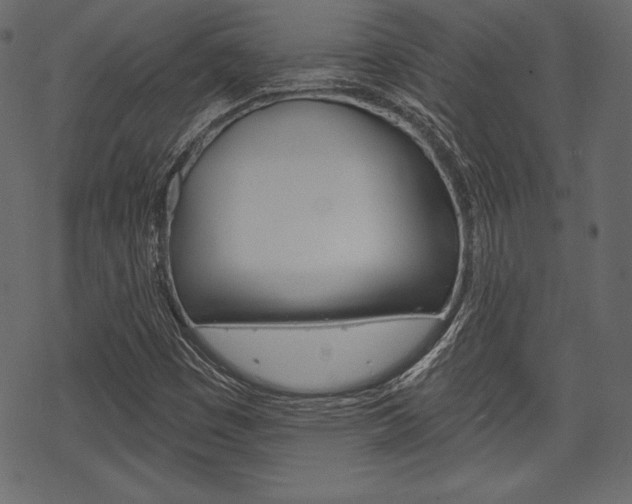 X0000070221449200605261025