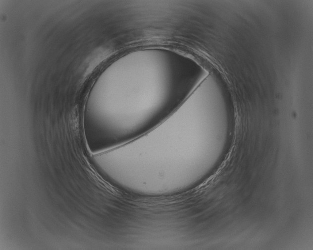 X0000070221450200605261025