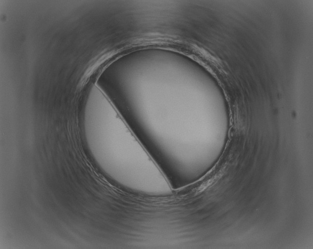 X0000070221453200605261025