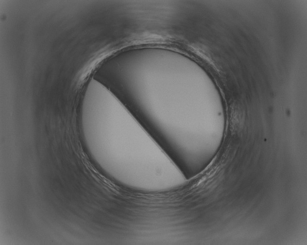 X0000070221455200605261025