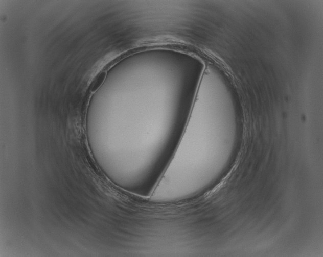 X0000070221457200605261025