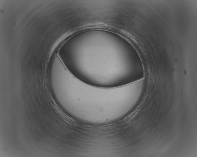 X0000070221458200605261025