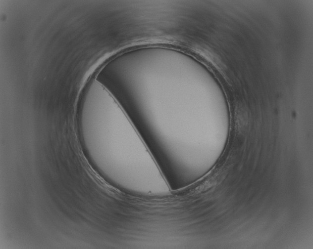 X0000070221460200605261025