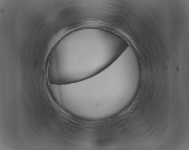X0000070221467200605261025