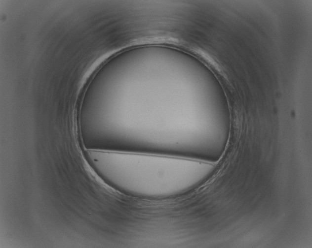 X0000070221468200605261025
