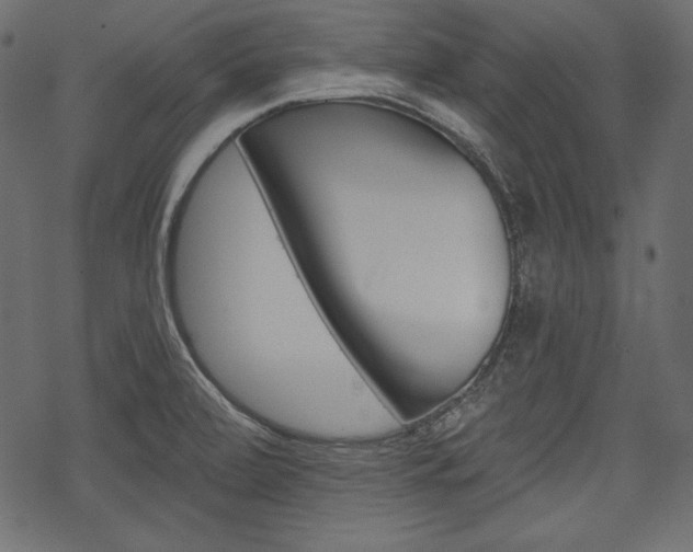 X0000070221472200605261024