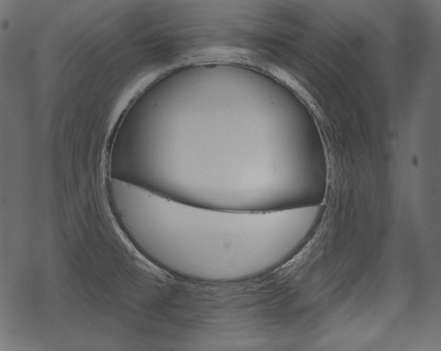 X0000070221477200605261024