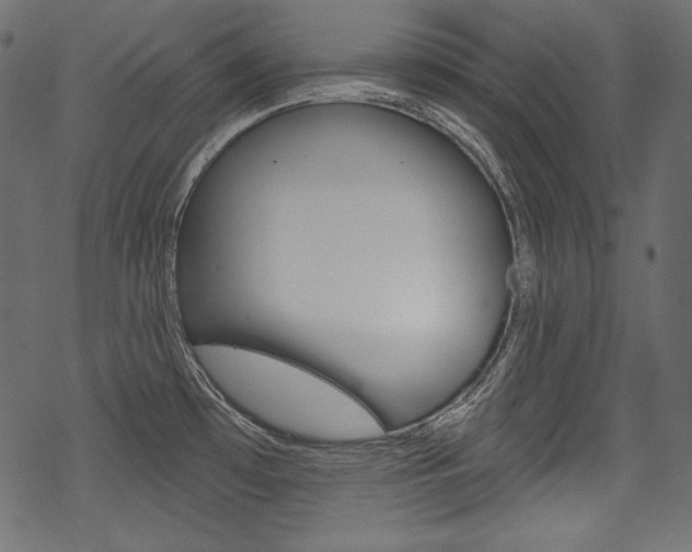 X0000070221481200605261024