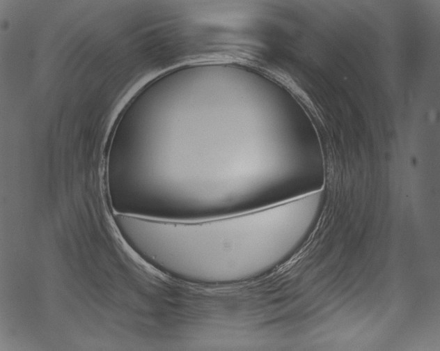 X0000070221484200605261024
