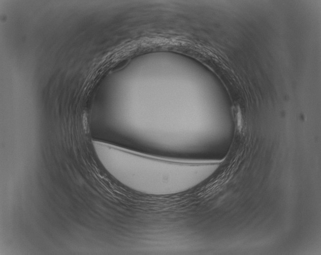 X0000070221492200605261023