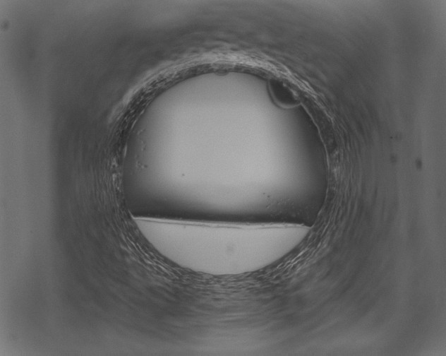 X0000070221495200605261024
