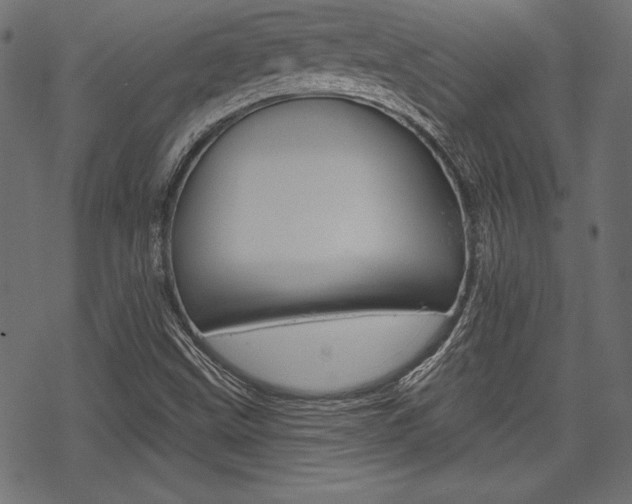 X0000070221499200605261024